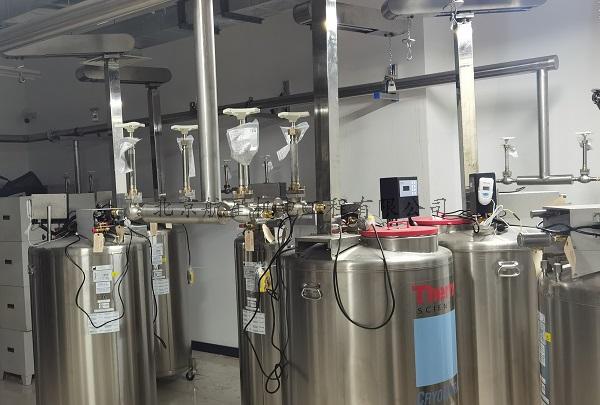 中国食品药品检定研究院冻存库液氮低温配套系统